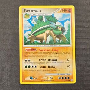 英語版 ドダイトス Torterra 2008 ポケモンカード