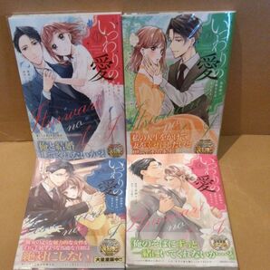 いつわりの愛 契約婚の旦那さまは甘すぎる 全4巻 (CITR COMICS) 金森ケイタ/漫画 上乃凛子/原作