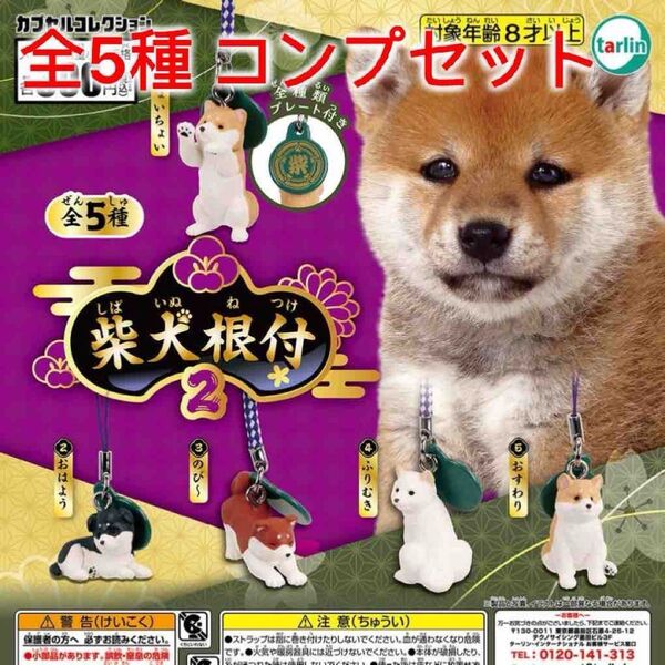 柴犬根付2 全5種コンプセット ガチャ
