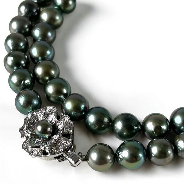 照り強◇あこや真珠◇7.0-7.5㎜ ネックレス ピーコックカラー シルバー刻印 pearl necklace 本真珠