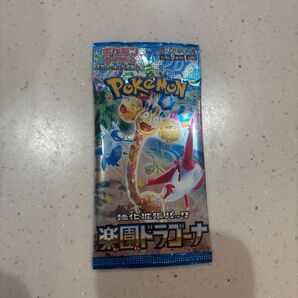 楽園ドラゴーナ5パック