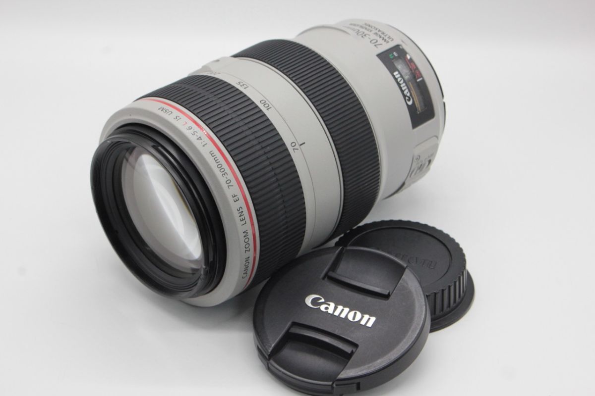 2025年最新】Yahoo!オークション -canon ef70-300mm f4-5.6 is 2025年最新】Yahoo!オークション -canon ef70-300mm f4-5.6 is