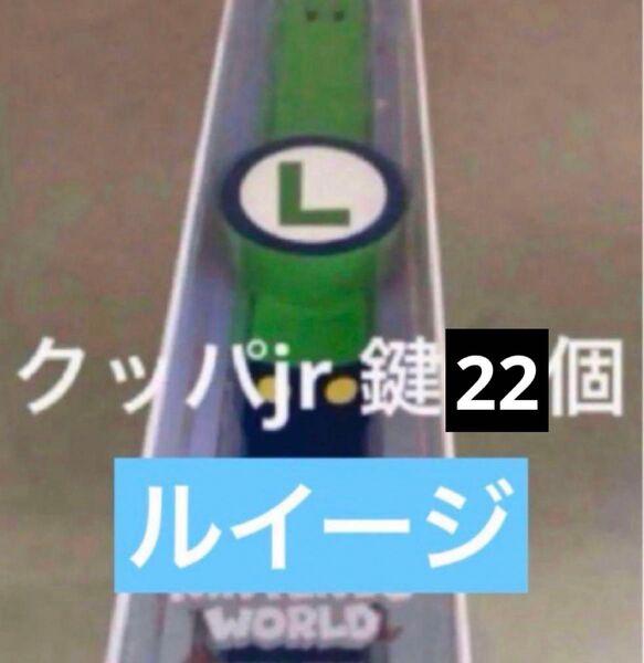 パワーアップバンド ルイージ鍵22個 USJユニバ スーパーニンテンドーワールド