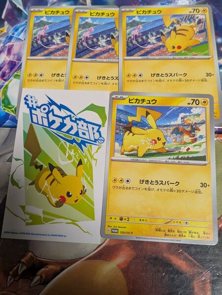 ピカチュウ プロモ PROMO 2種 4枚 ステッカー 1枚 5枚セット ポケモンカード ポケカ ジム戦