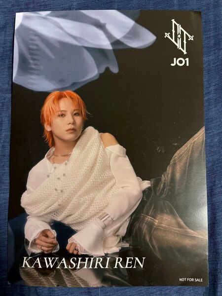 JO1 川尻蓮 タワレコ購入特典 フライヤー