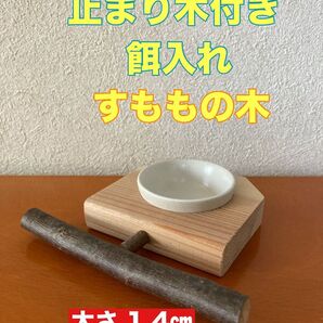 止まり木付き餌入れ すももの木 据え置きタイプ 小鳥 ペット