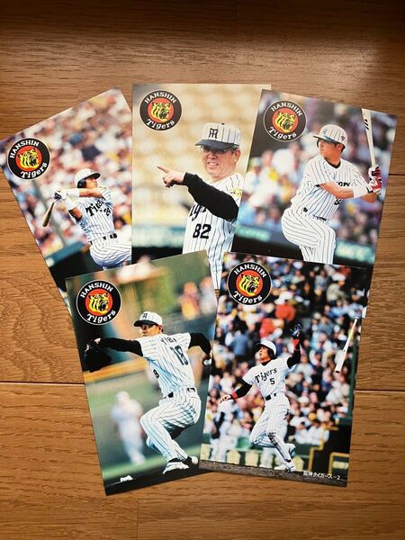 阪神タイガース絵入り官製はがき