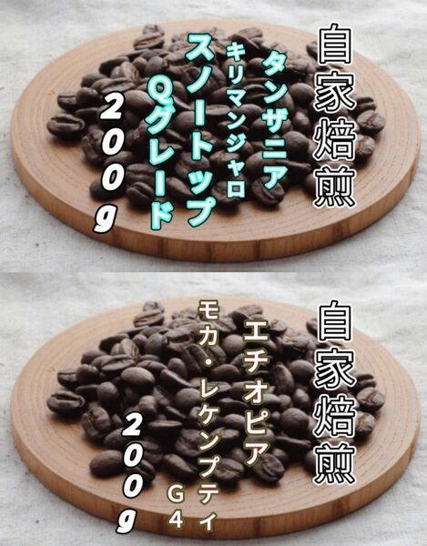 【タンザニア】AAスノートップ【エチオピア】モカ・レケンプティG4 自家焙煎コーヒー豆各200g(自家焙煎 コーヒー豆 コーヒー)