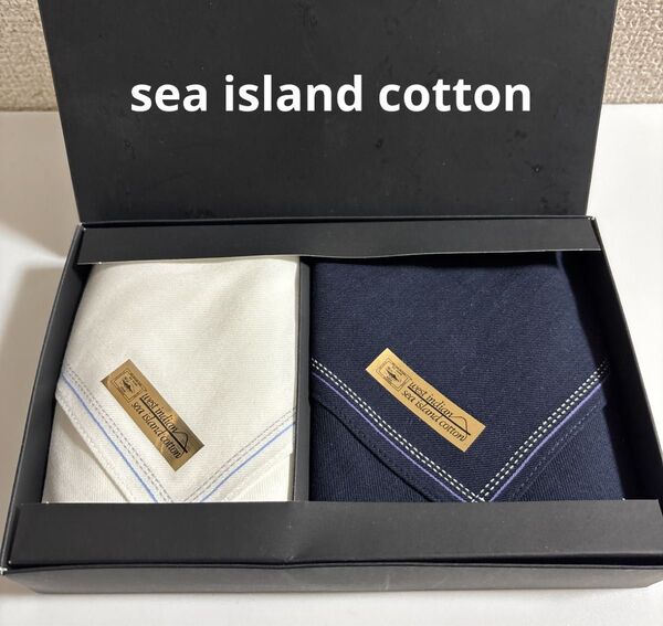新品未使用 sea island cotton 紳士ハンカチ メンズハンカチ 2枚セット