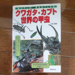 クワガタ・カブト・世界の甲虫 江良達雄/著