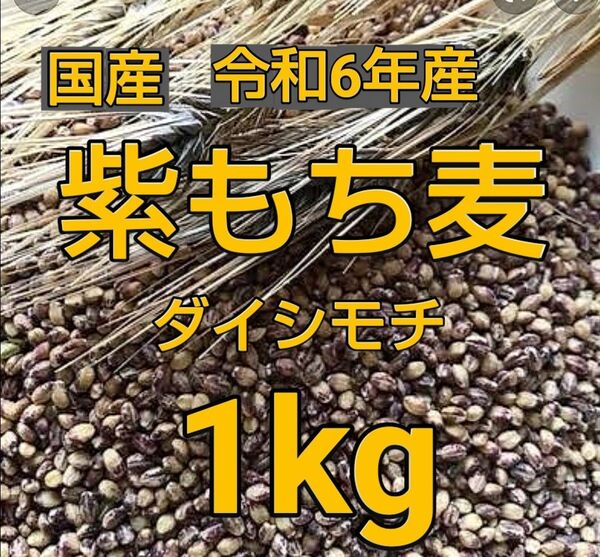 もち麦1kg 新麦 国産 紫もち麦 ダイシモチ 美味しく食べやすく精麦済み