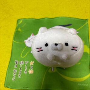 もちもちぬいぐるみ 白猫
