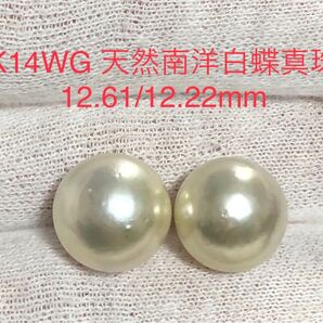 K14WG 天然南洋白蝶真珠 丸系ピアス 12.61/12.22mm