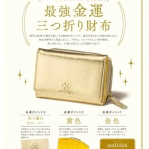 みゃー様専用】この『春』から使い始めて下さい!!最強金運財布、梅ミンツ、その他詰め詰め出血大サービス品