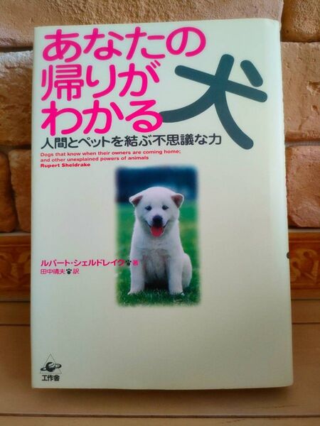 あなたの帰りがわかる 人間とペットを結ぶ不思議な力