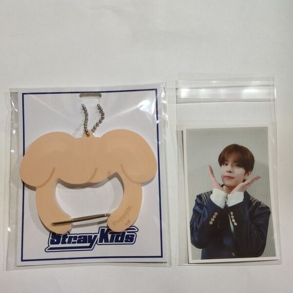 StrayKids カラビナキーホルダー PuppyM ICカードステッカー付き