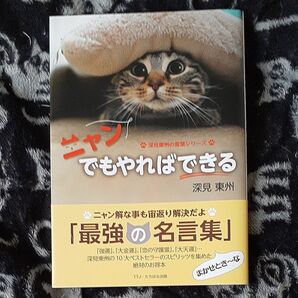 新品!ニャンでもやればできる (深見東州の言葉シリーズ) 深見東州/著 新品未使用!