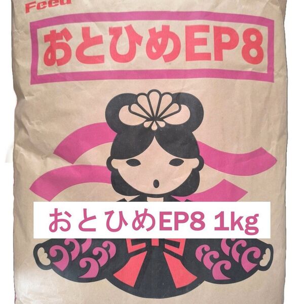 日清丸紅飼料 おとひめEP8 1kg ※送料無料※