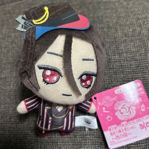 魔法使いの約束 きらどるぬいぐるみ 盛装の魔法使い ver.まほやく ぬいぐるみ