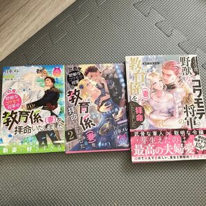 この度、野獣なコワモテ将軍の教育係〈妻〉を拝命いたしました 2 (ティアラ文庫) 日車メレ/著