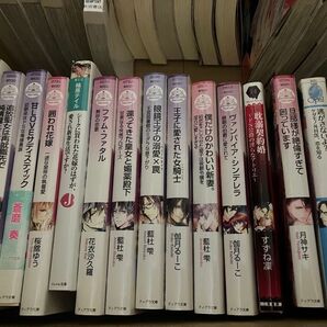 小説セット TL
