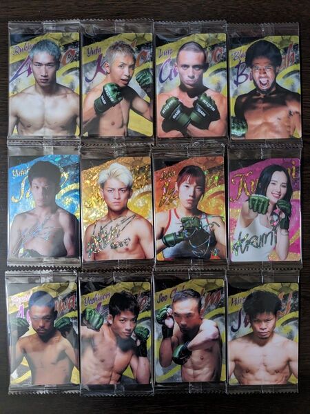RIZIN ウエハース24 カード 12枚セット
