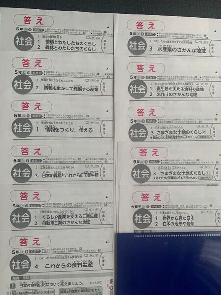 カラーテスト 5年 社会 答え 日文 新学社