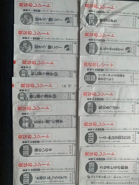 カラーテスト 6年 国語 東京書籍 しんがくしゃ