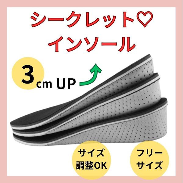 【3cm UP】 シークレットインソール 中敷 身長アップ レディースメンズ 男女兼用 靴 盛る