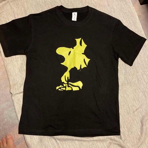 ウッドストックの、半袖のTシャツでサイズはMです。いつも、SNOOPYと一緒が多いですが、1匹でTシャツなのは珍しいと思います。