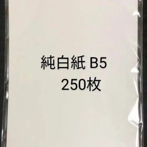 新品未使用 格安 純白紙 片艶 B5 257×182 30g/㎡ 250枚