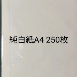 新品未使用 格安 純白紙 片艶 A4 210×297 30g/㎡ 250枚