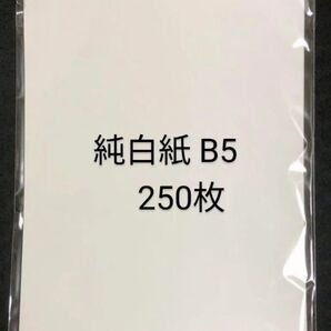 新品未使用 格安 純白紙 片艶 B5 257×182 30g/㎡ 250枚