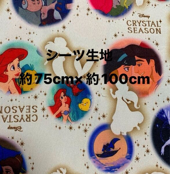 ディズニープリンセス☆シーツ生地・ハギレ☆約75cm×約105cm☆