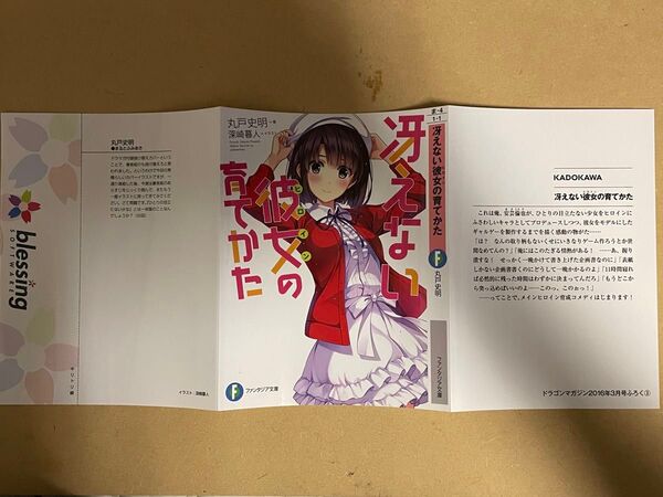冴えない彼女(ヒロイン)の育てかた 加藤恵 かけかえカバー