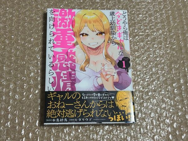 どうやら俺は今どきギャルな歳上幼馴染から激重感情を向けられているらしい 1巻 初版 新品
