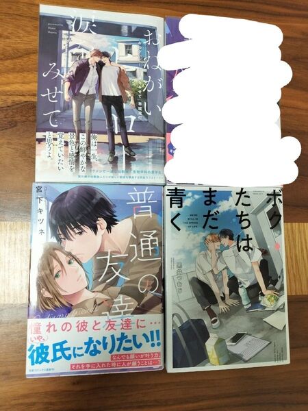 おねがいヒーロー涙をみせて、ボクたちはまだ青く、普通の友達