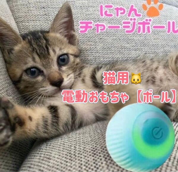 猫 ボール 電動おもちゃボール 自動 ペット 肥満防止 運動 コロコロ USB