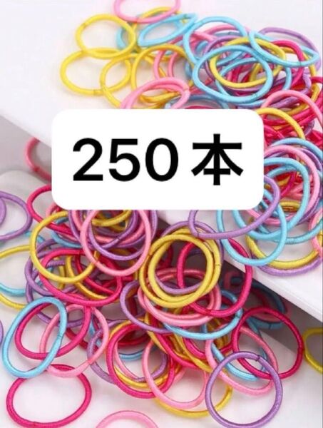ヘアゴム 250本 髪ゴム 大容量 まとめ髪 大人 ベビー 保育園 幼稚園 こども カラフル 子ども 赤ちゃん キッズ