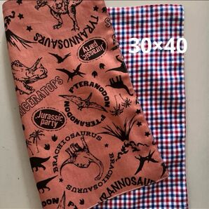 リバーシブルランチョンマット約30×40