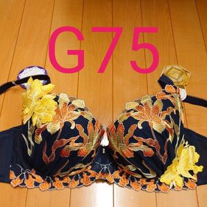 刺繍 ドゥペルル G75 ブラジャー