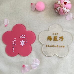 ひなまつり 名前札 端午の節句 桃の節句 命名書 ニューボーンフォト お花
