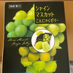 シャインマスカット こんにゃくゼリー 50こ