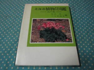  Hokkaido plant teaching material illustrated reference book mountain. flower 