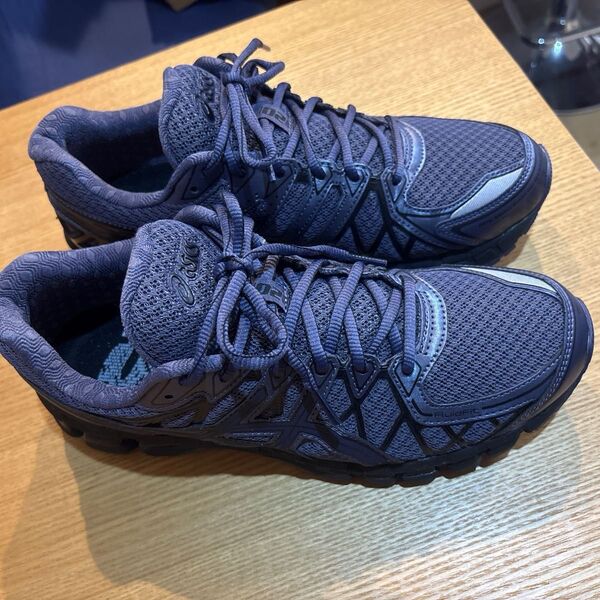 Asics Gel-Kayano 20 "Indigo Fog/Black"28cm