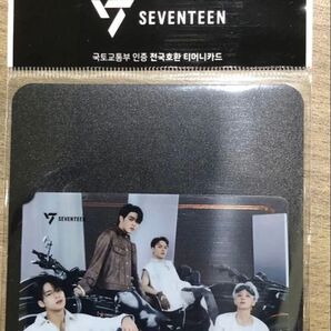 【新品未開封】C ver セブチ T-money Tマネーカード