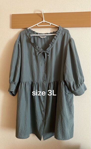 大きいサイズ C2 February ふんわりブラウス size 3L