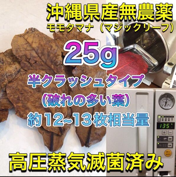 高圧蒸気滅菌済み沖縄県産無農薬モモタマナ (マジックリーフ)半クラッシュ(破れの多い葉)25g(20cm前後の葉10~12枚相当)