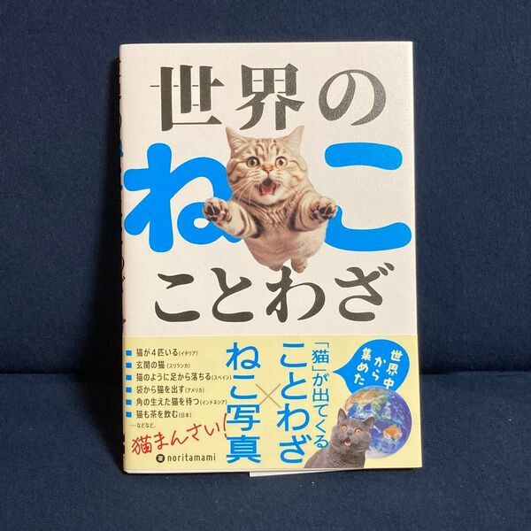 世界のねこことわざ noritamami/著