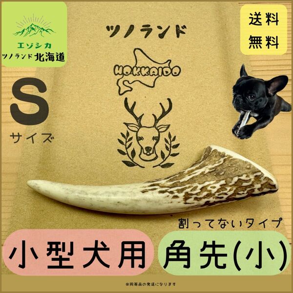 ◯鹿の角◯Sサイズ角先小×1本◯犬のおもちゃ◯小型犬用◯